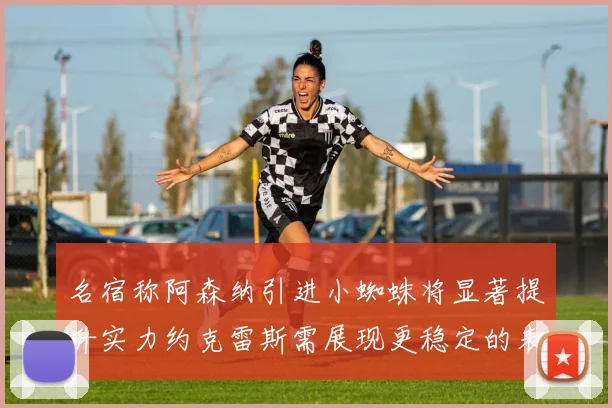 名宿称阿森纳引进小蜘蛛将显著提升实力约克雷斯需展现更稳定的表现